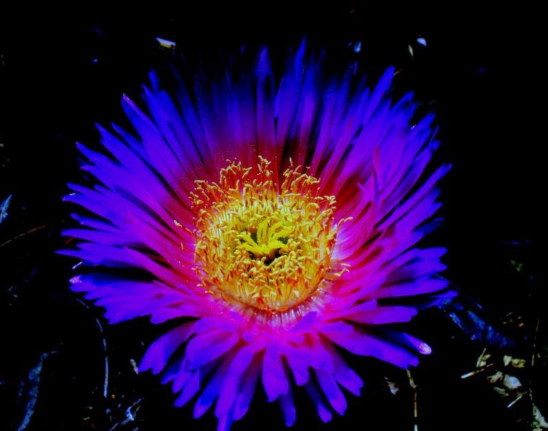 post-231841-0-98359600-1442660134_thumb.