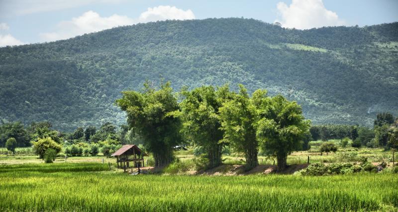 post-237730-0-01647700-1443236506_thumb.