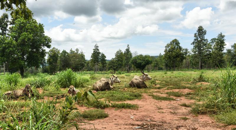 post-237730-0-03832400-1443071617_thumb.