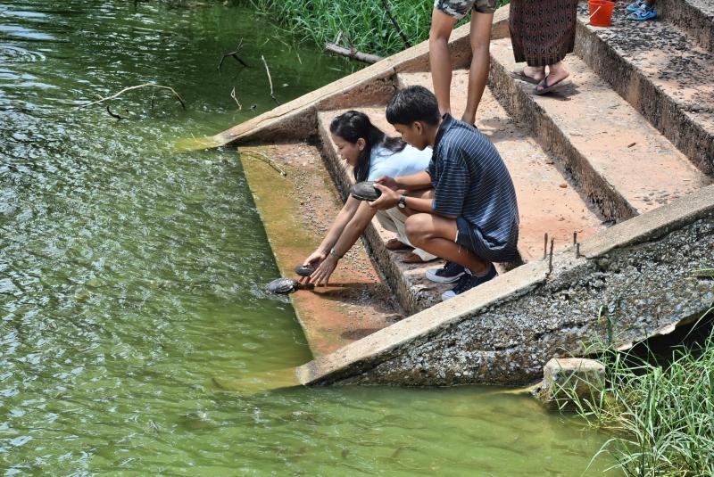 post-237730-0-07036600-1441934887_thumb.