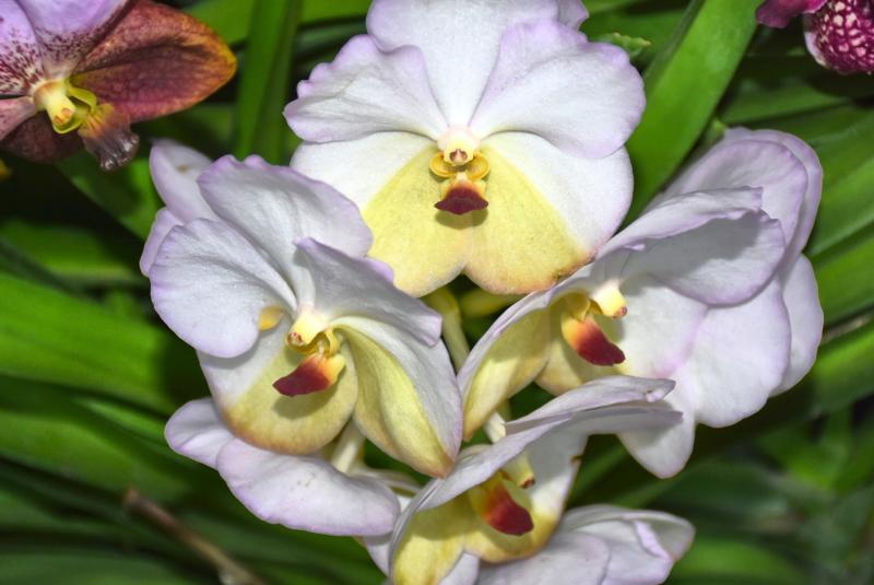 post-237730-0-08189200-1441937494_thumb.