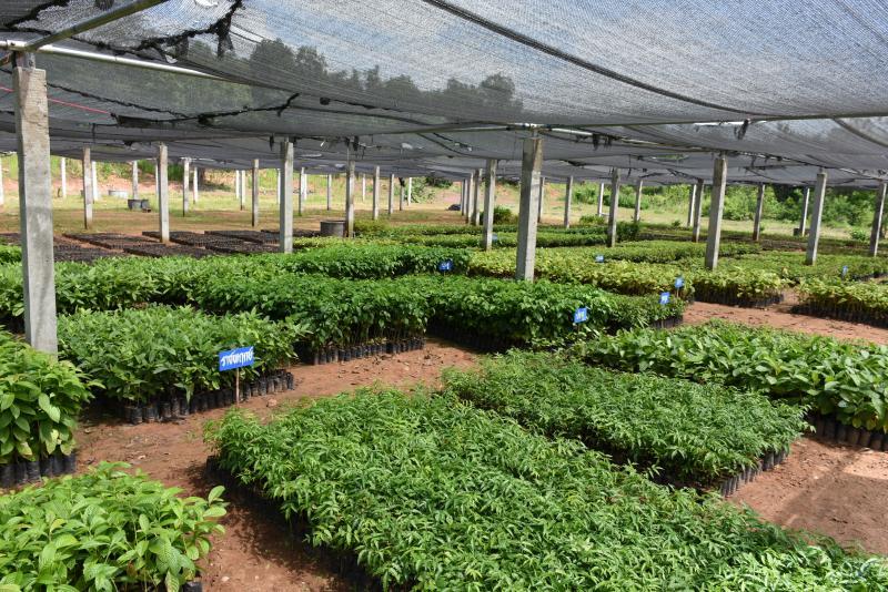 post-237730-0-11577300-1443077605_thumb.