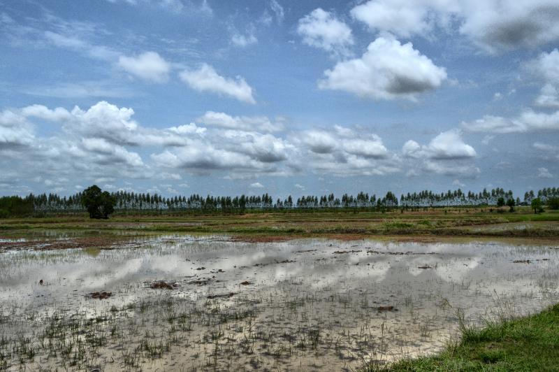 post-237730-0-20052900-1441936440_thumb.