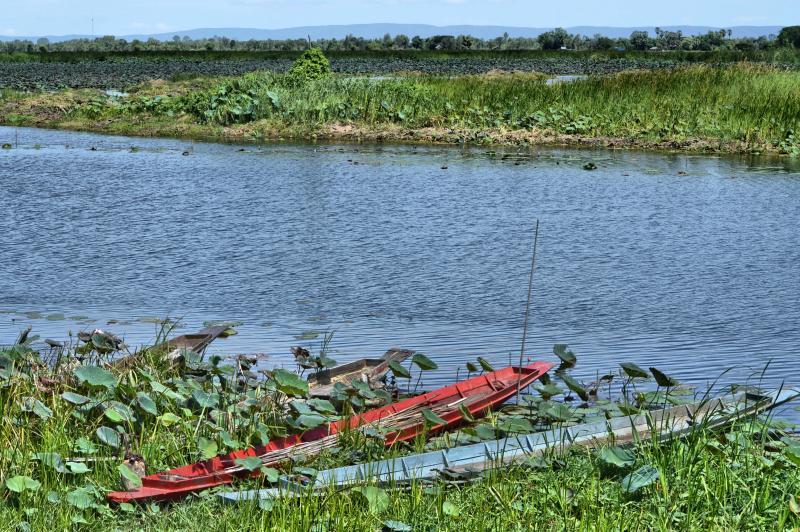 post-237730-0-20765600-1441938050_thumb.