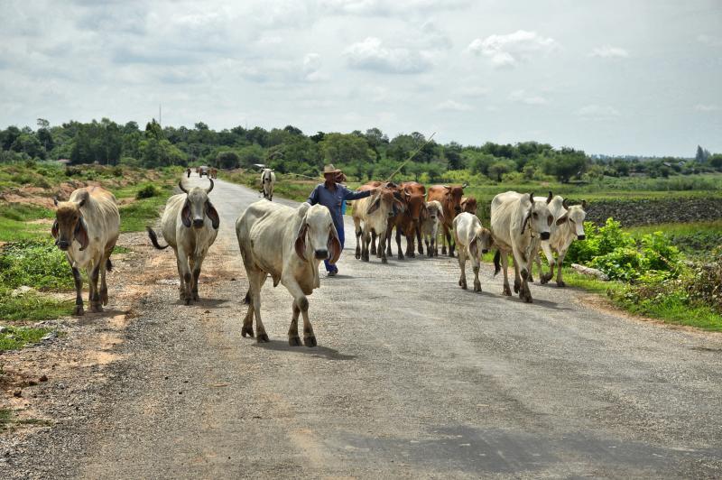 post-237730-0-23494400-1442230032_thumb.