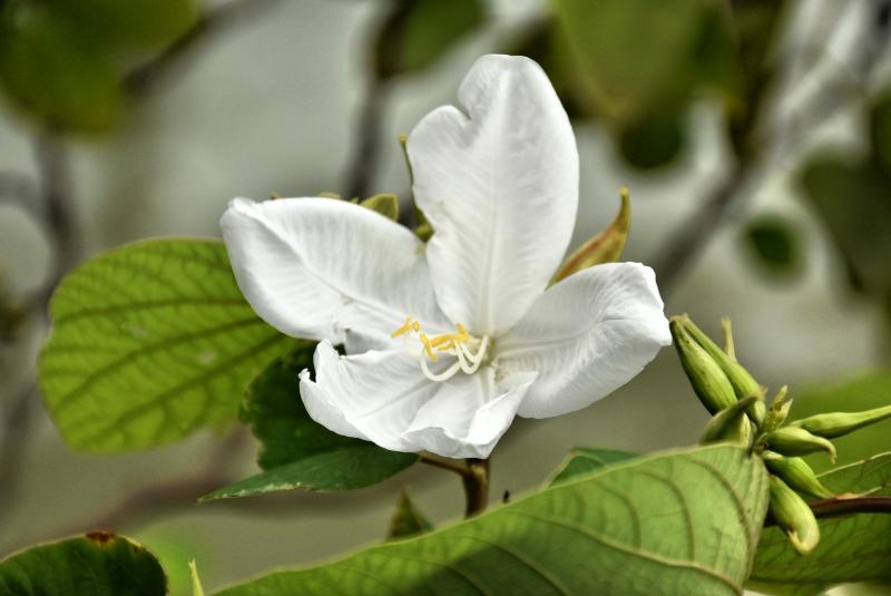 post-237730-0-26085500-1441937273_thumb.