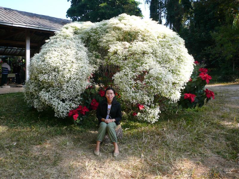 post-237730-0-29498200-1442808927_thumb.