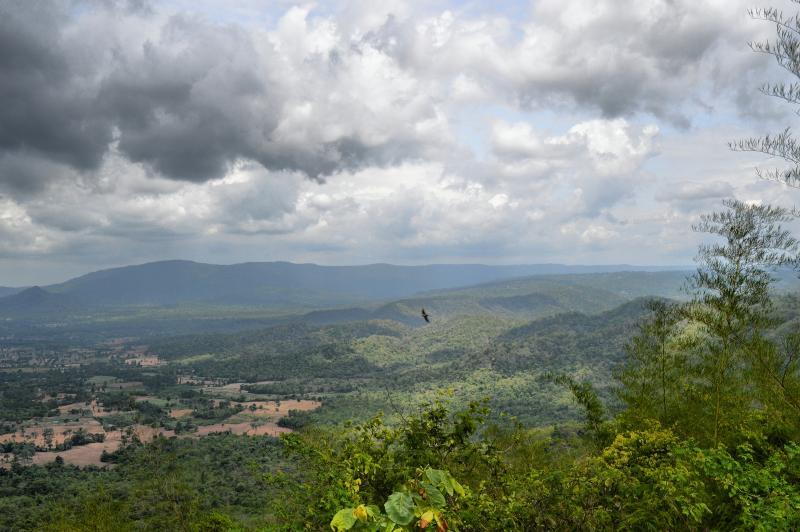 post-237730-0-32365300-1442137929_thumb.