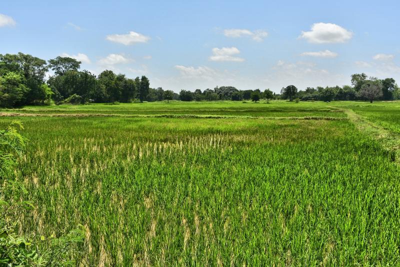 post-237730-0-32893800-1442661026_thumb.