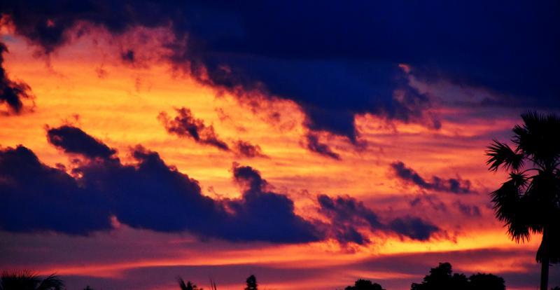 post-237730-0-37598500-1441855043_thumb.