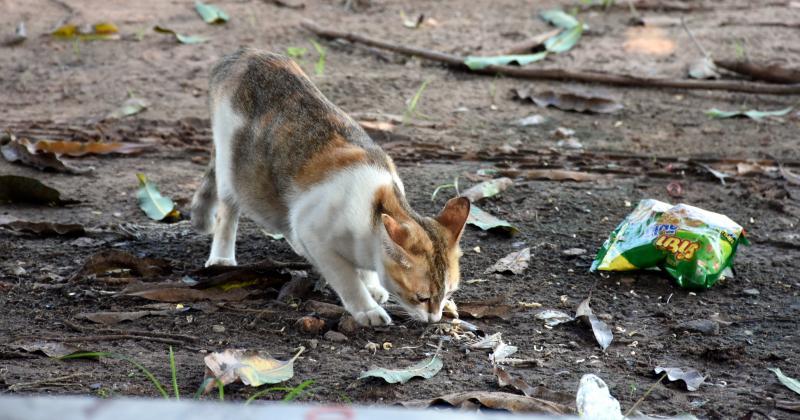 post-237730-0-40626600-1442225148_thumb.