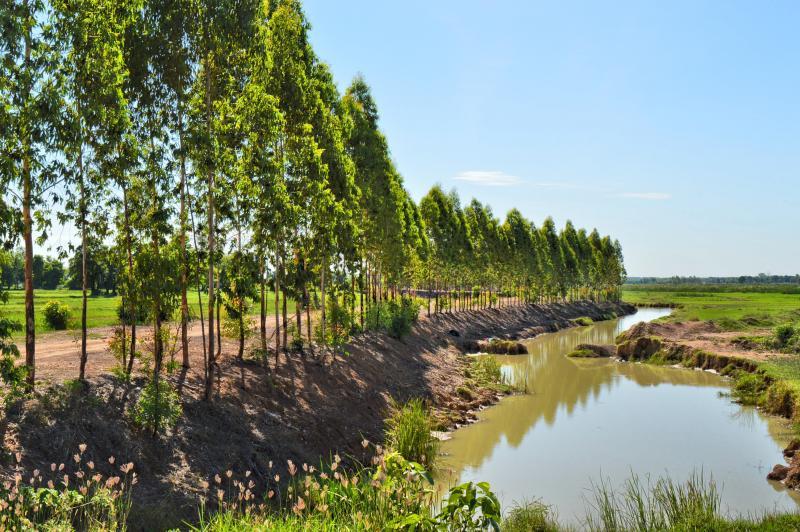 post-237730-0-41204300-1442915722_thumb.