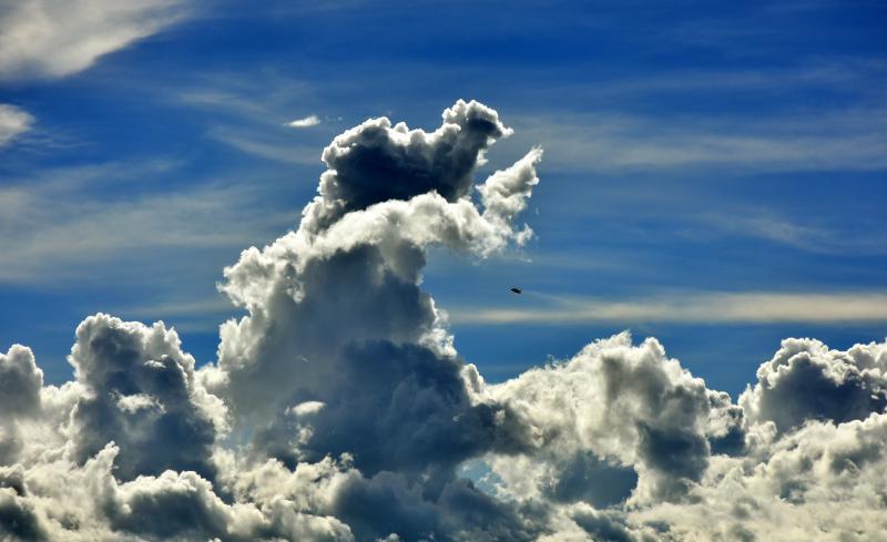 post-237730-0-42990500-1441802618_thumb.