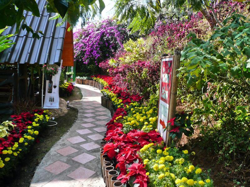 post-237730-0-43738200-1442390963_thumb.