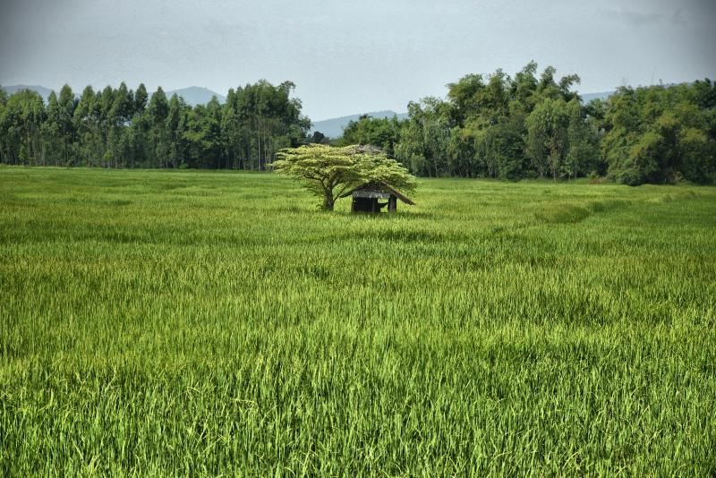 post-237730-0-47286100-1443069324_thumb.