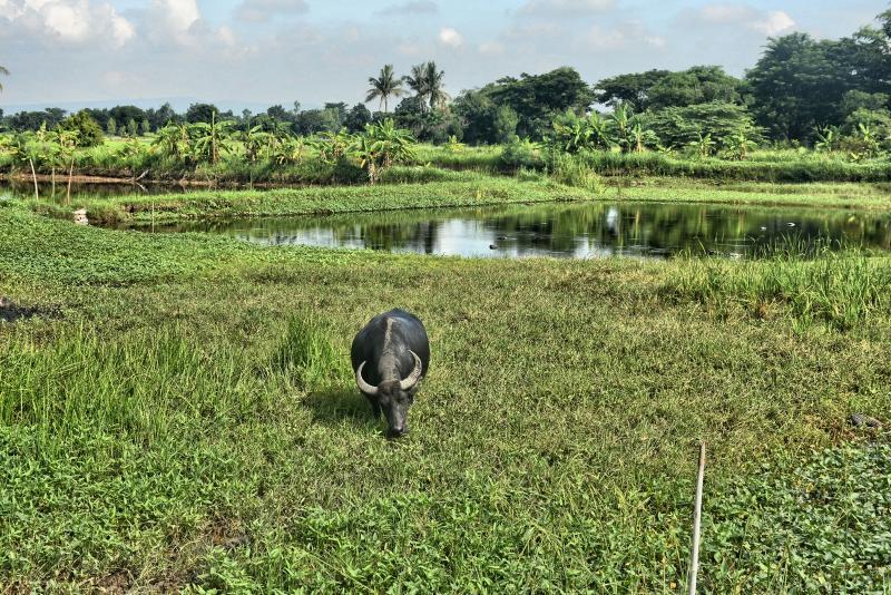 post-237730-0-53674800-1443512900_thumb.