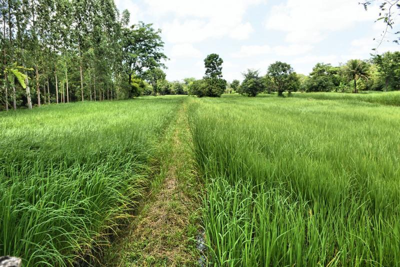 post-237730-0-54316200-1442661059_thumb.