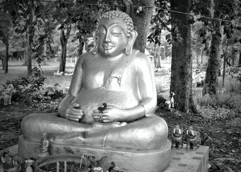 post-237730-0-56994200-1442138903_thumb.