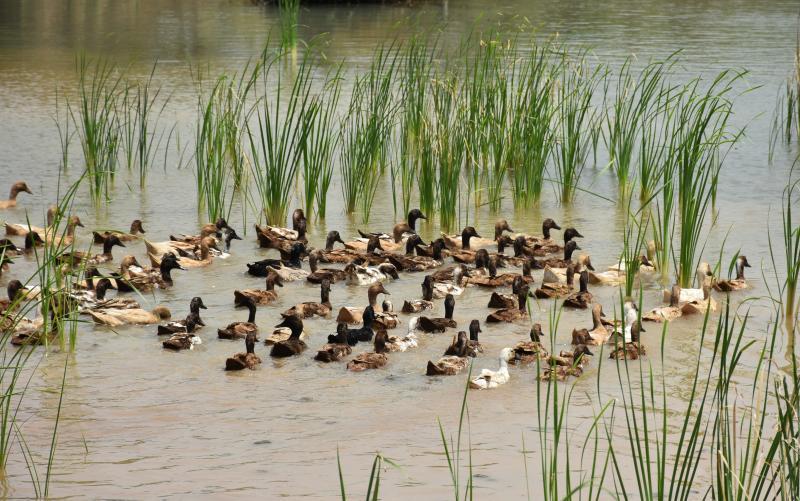 post-237730-0-61251800-1442227604_thumb.