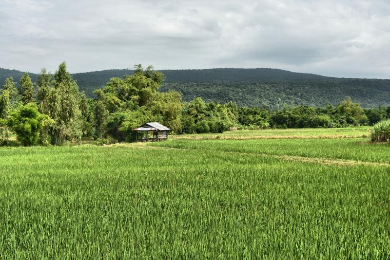 post-237730-0-63844900-1443003892_thumb.