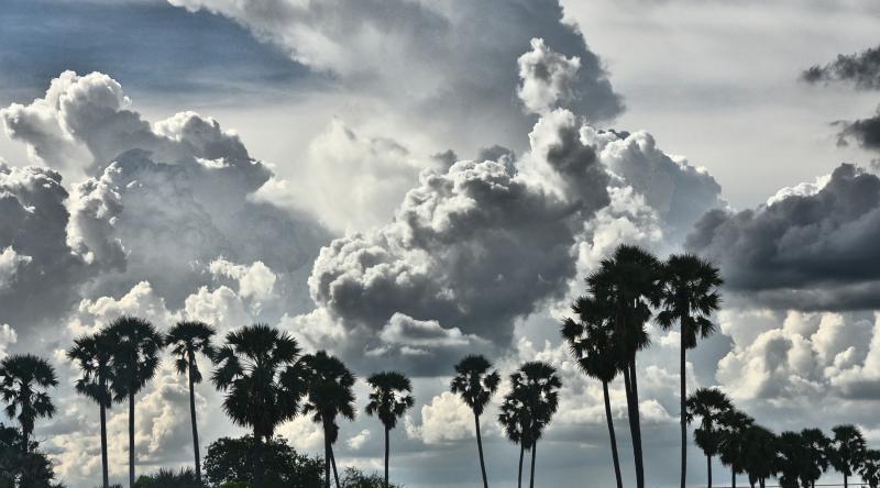 post-237730-0-64017800-1443235502_thumb.