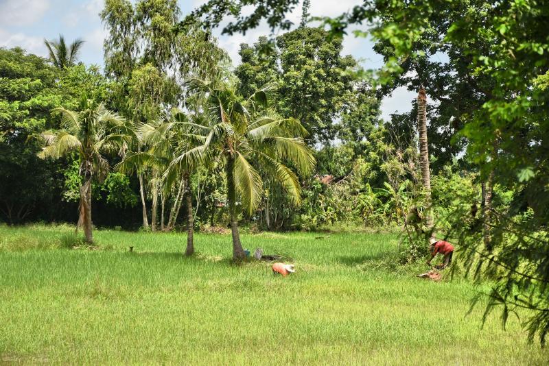 post-237730-0-75755500-1442805668_thumb.