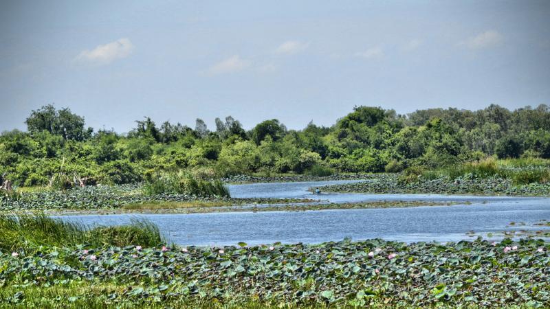 post-237730-0-80965100-1441854429_thumb.