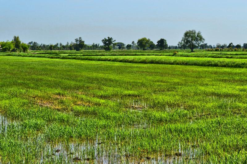 post-237730-0-82138500-1441854784_thumb.