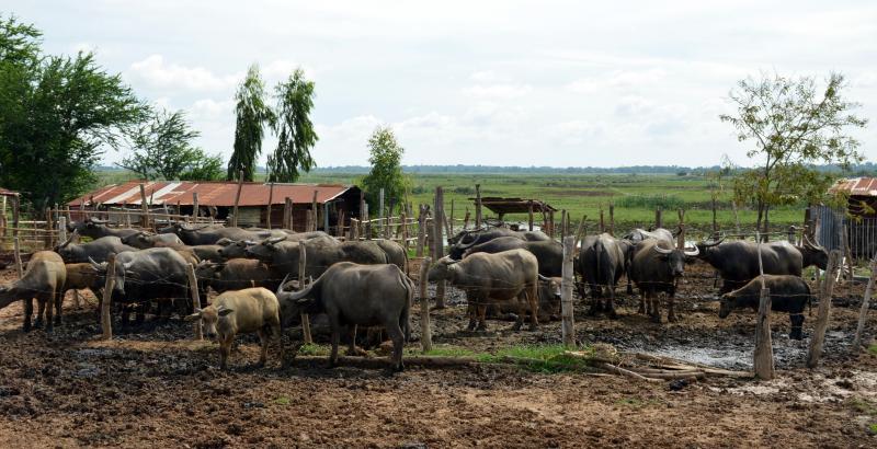 post-237730-0-89143100-1441811942_thumb.