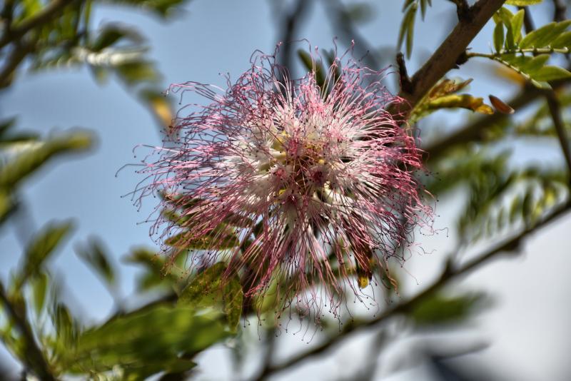 post-237730-0-89621600-1443243794_thumb.