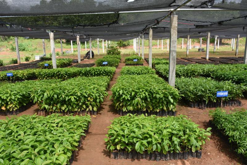 post-237730-0-92034200-1443077701_thumb.