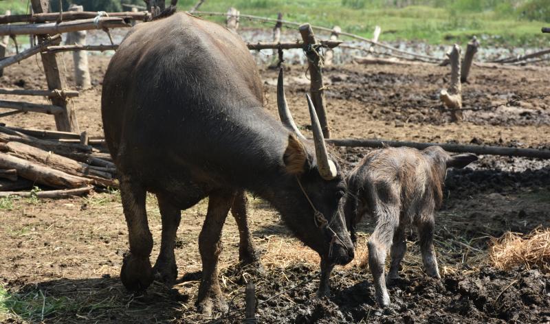 post-237730-0-92407200-1442226303_thumb.