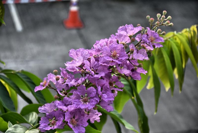 post-237730-0-93395200-1441937366_thumb.