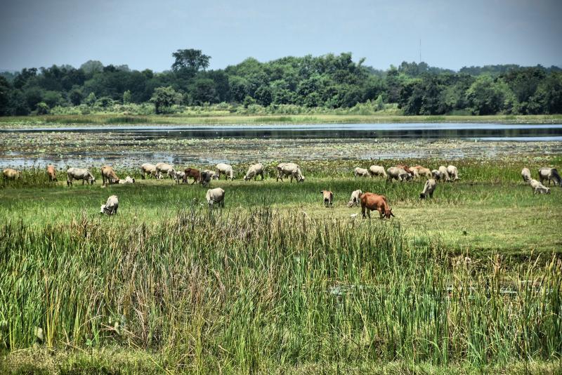 post-237730-0-93594300-1442722956_thumb.