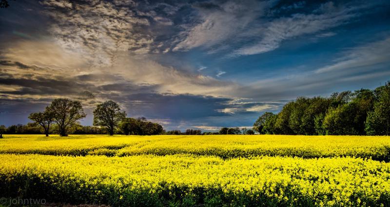 post-242846-0-85128700-1442660377_thumb.