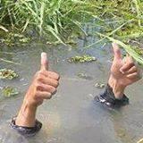 post-24662-0-68473900-1442568193_thumb.j