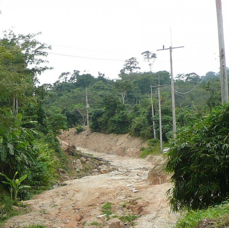 post-35489-0-07481600-1441901428_thumb.j