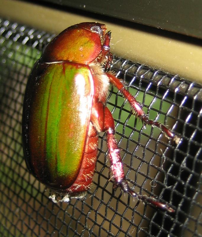 post-35489-0-29630000-1442242929_thumb.j