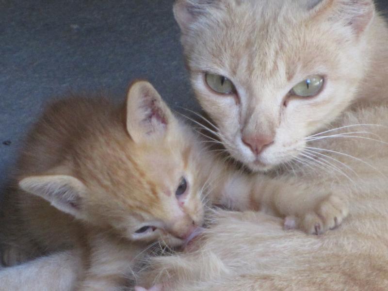 post-35489-0-36961800-1441898709_thumb.j