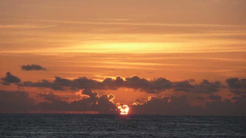 post-35489-0-46656400-1443450595_thumb.j