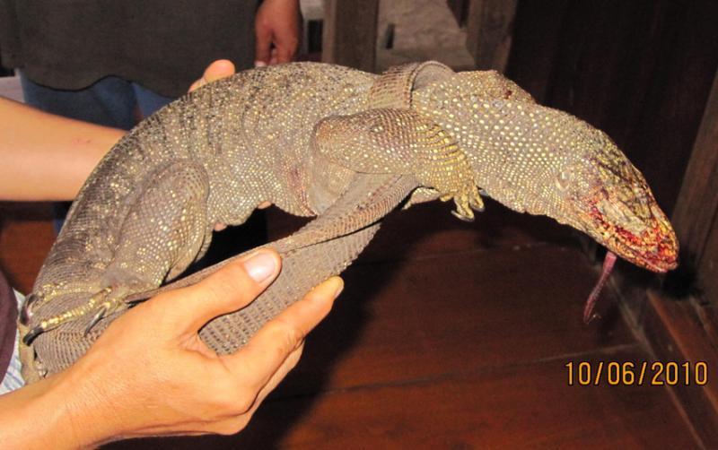 post-35489-0-52073900-1441292199_thumb.j