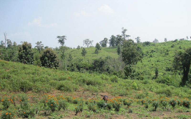 post-35489-0-56083900-1442313667_thumb.j