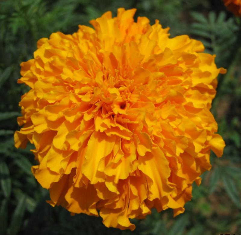 post-35489-0-56515000-1442313207_thumb.j