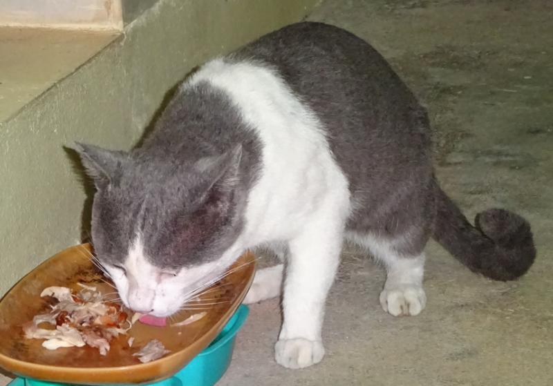 post-35489-0-69945400-1443017408_thumb.j