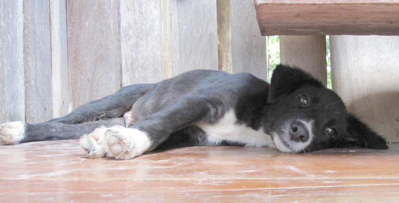 post-35489-0-72878700-1442246676_thumb.j