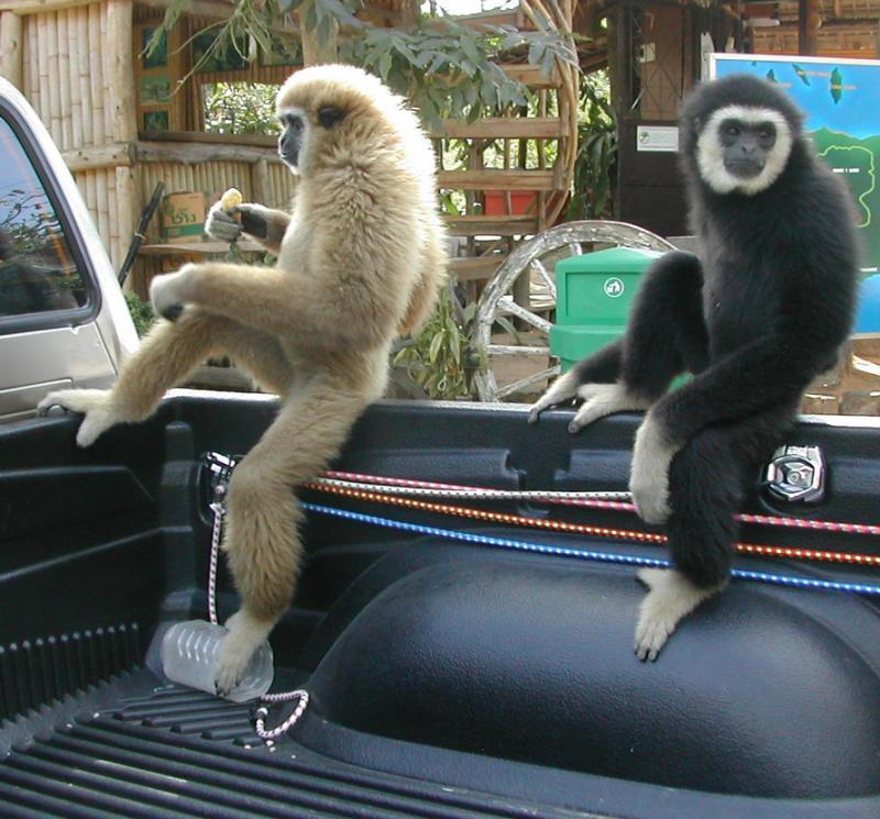 post-35489-0-74018000-1441890503_thumb.j