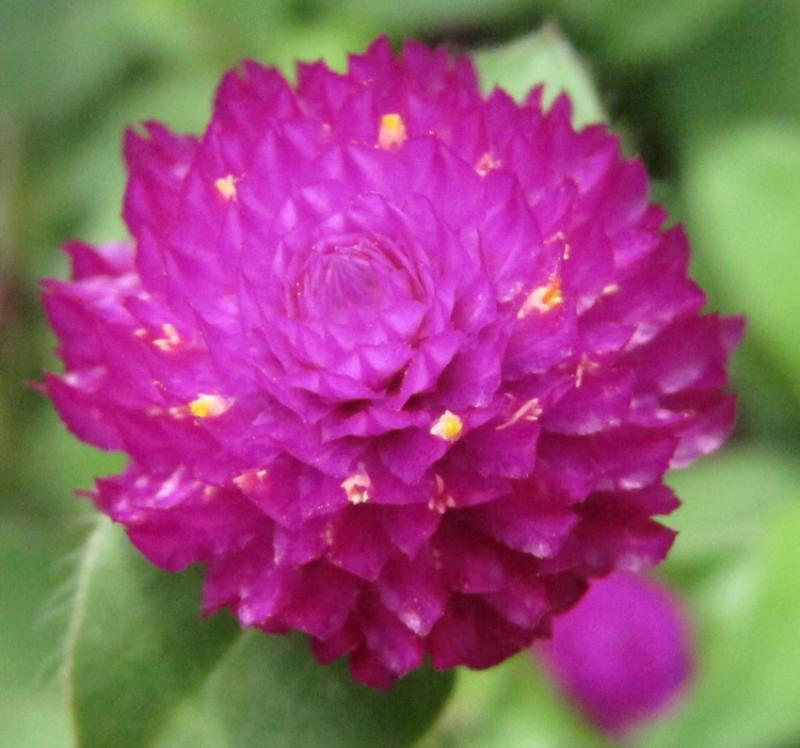 post-35489-0-85561500-1442429271_thumb.j