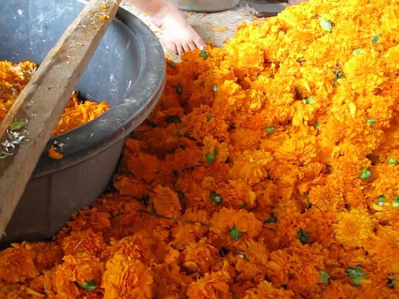 post-35489-0-93184700-1442313560_thumb.j