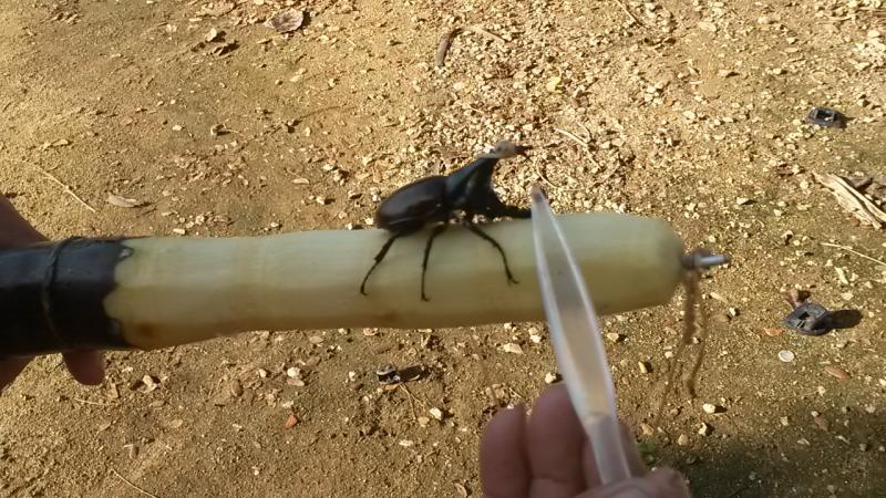 post-42398-0-43218000-1442895262_thumb.j