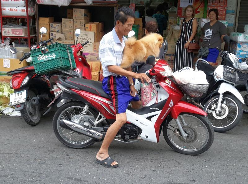 post-62796-0-21909800-1441169308_thumb.j